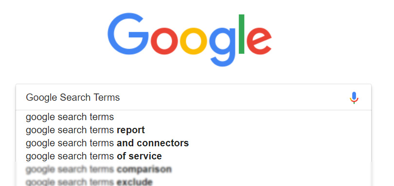 Google Search Terms