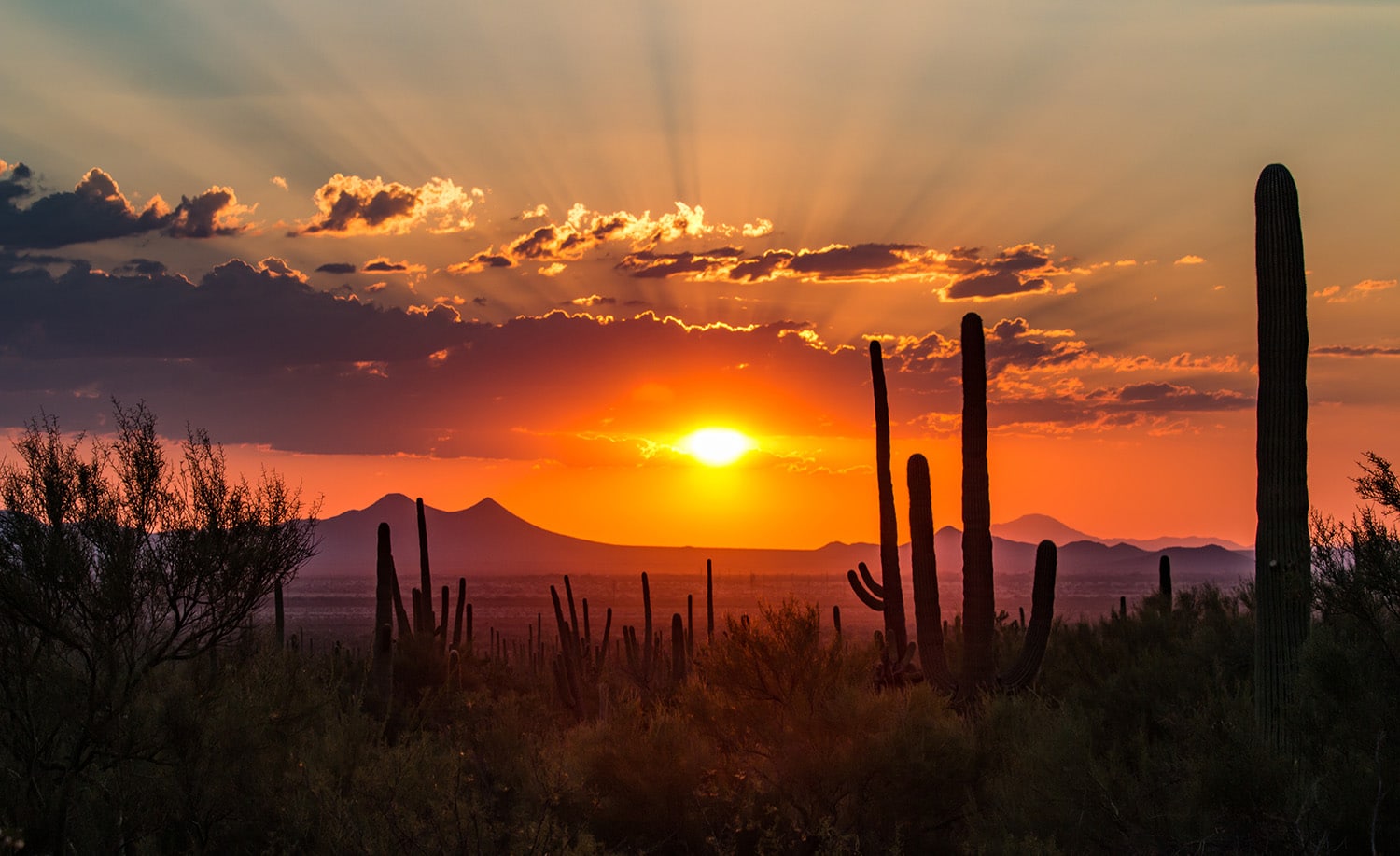 Cave Creek AZ Location Cave Creek, AZ Location