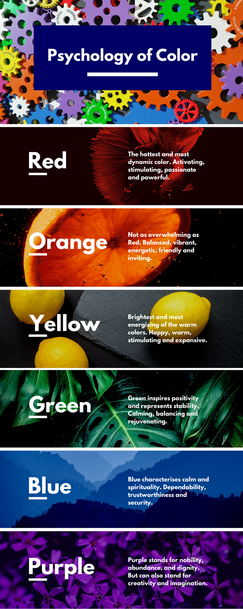 Color Psychology Infographic Color Psychology Infographic