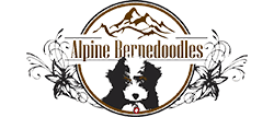 Alpine Bernedoodles Logo