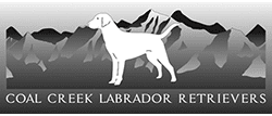 Coal Creek Labs Logo