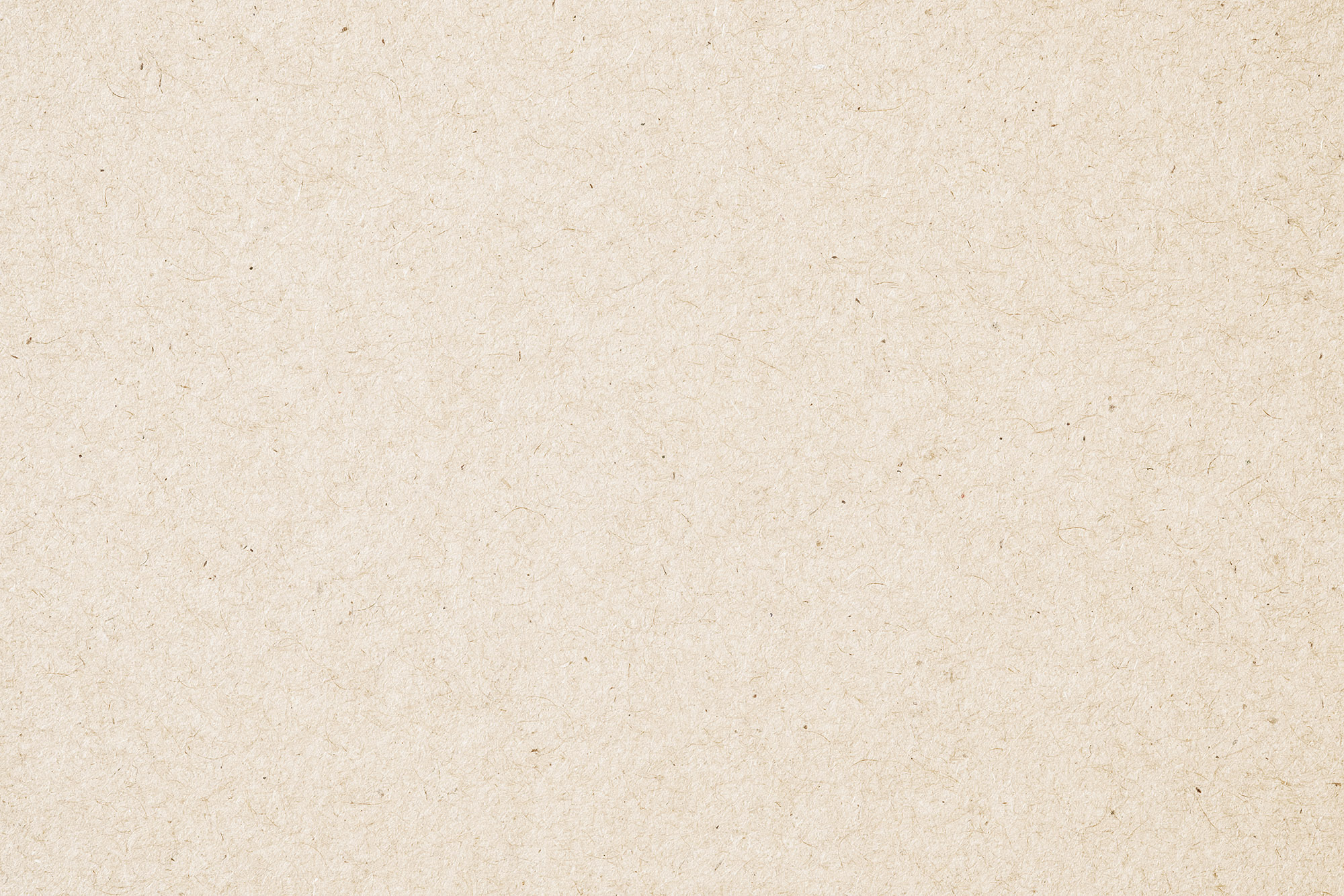 Kraft Paper Texture