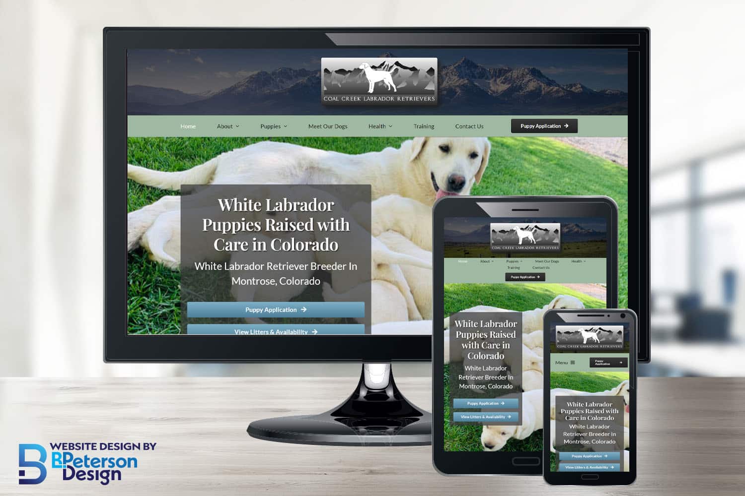 Coal Creek Labrador Retriever's website design showing it's responsive on a computer, ipad, and mobile device