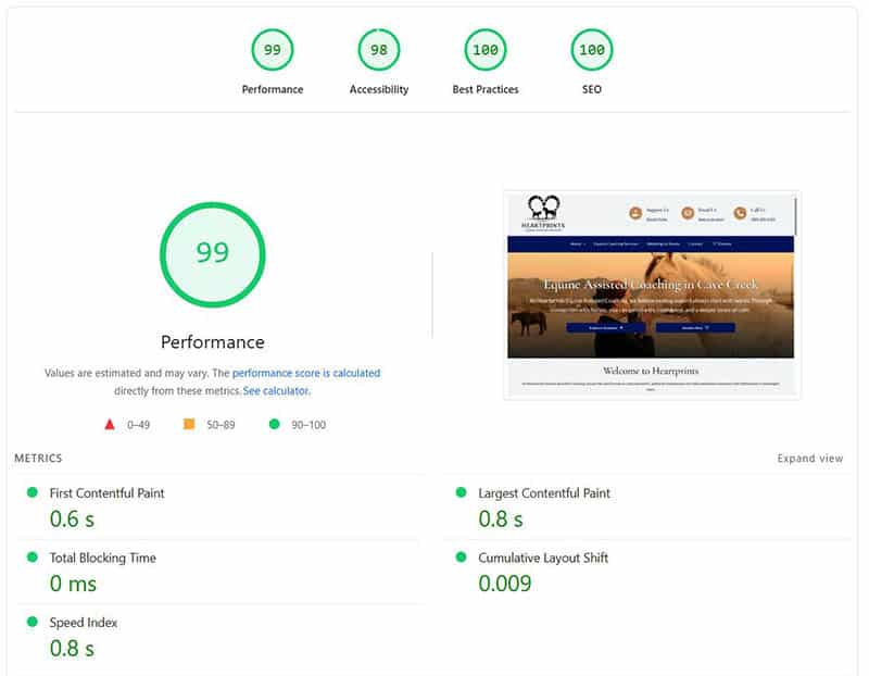 heartprints-equine-pagespeed-score heartprints equine pagespeed score